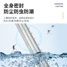 LED防爆荧光灯 防尘防虫库房LED灯吸顶隔爆型车间工业照明日光X20