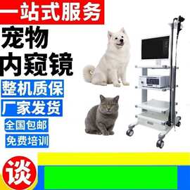 动物用胃肠镜摄像系统 动物诊疗内窥摄像 无损检测仪宠物医疗用
