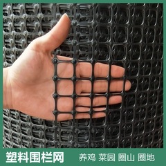 養鶏屋外バルコニー菜園小穴プラスチックメッシュガードレールフェンス養殖家庭用ブロックネット防護ネット