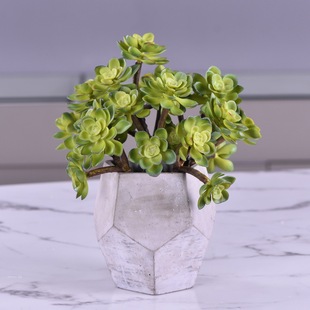 �S��ֱ�N��������ʯɏ��ֲ��쾰�廨��ĸߙn�������Gֲ���l