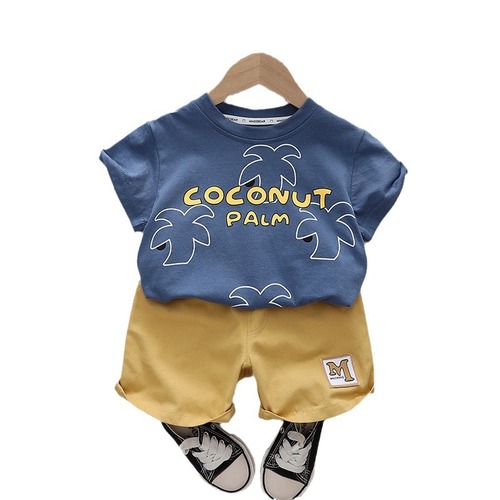 Summer 2024 New Foreign Trade Boys' Round Neck Short Sleeve Set for Baby Boys, Casual Shorts and Clothing Two-Piece Set Wholesale