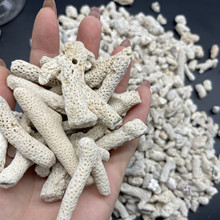 优质珊瑚砂鱼缸过滤材料菲律宾珊瑚石珊瑚骨提高PH滤材净水海水沙