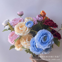 ���滨ɏ�F��4�^���ֻ�õ�屳����c��Y�Ƶ�Ҿ�