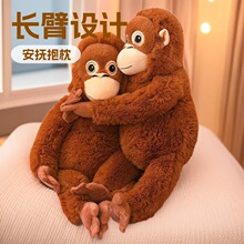 �ɐ��L�ۺ���ë�q��ߴ����ɹ��б�����ż��ͯ�Y��Ů��ſ�����