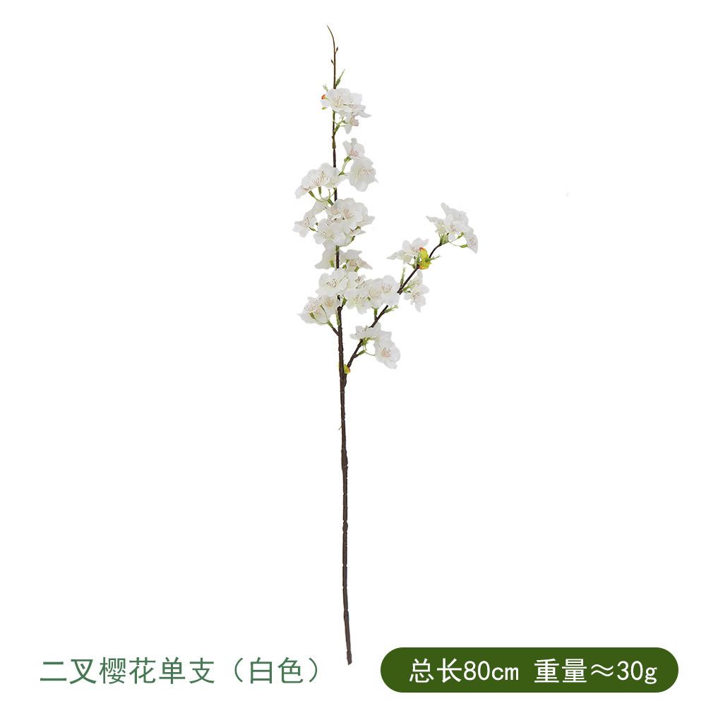 두 갈래 벚꽃 싱글 화이트