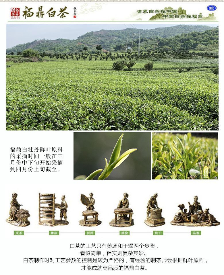 CN01c1IpDh1fDDpo4uTc7868193972