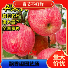 �O�����������Ϸ������Nֲ���Ա������O������簫�����䮔��Y��