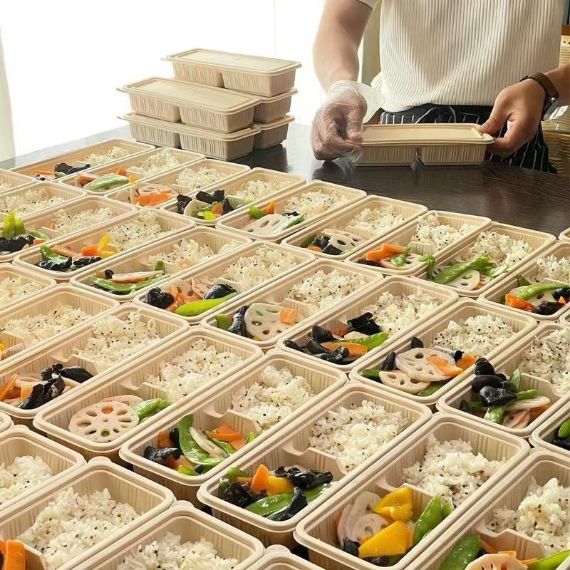 Disposable lunch box made of corn starch, biodegradable, two-compartment food container for work meals, food-grade, microwave-safe