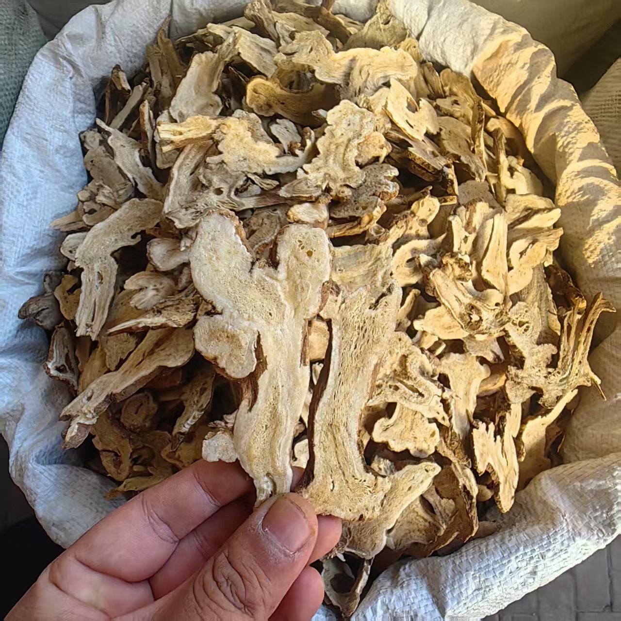 White Atractylodes Rhizome Bai Zhu Sliced Dried Herb 500g for Decoction and Soup quality and texture