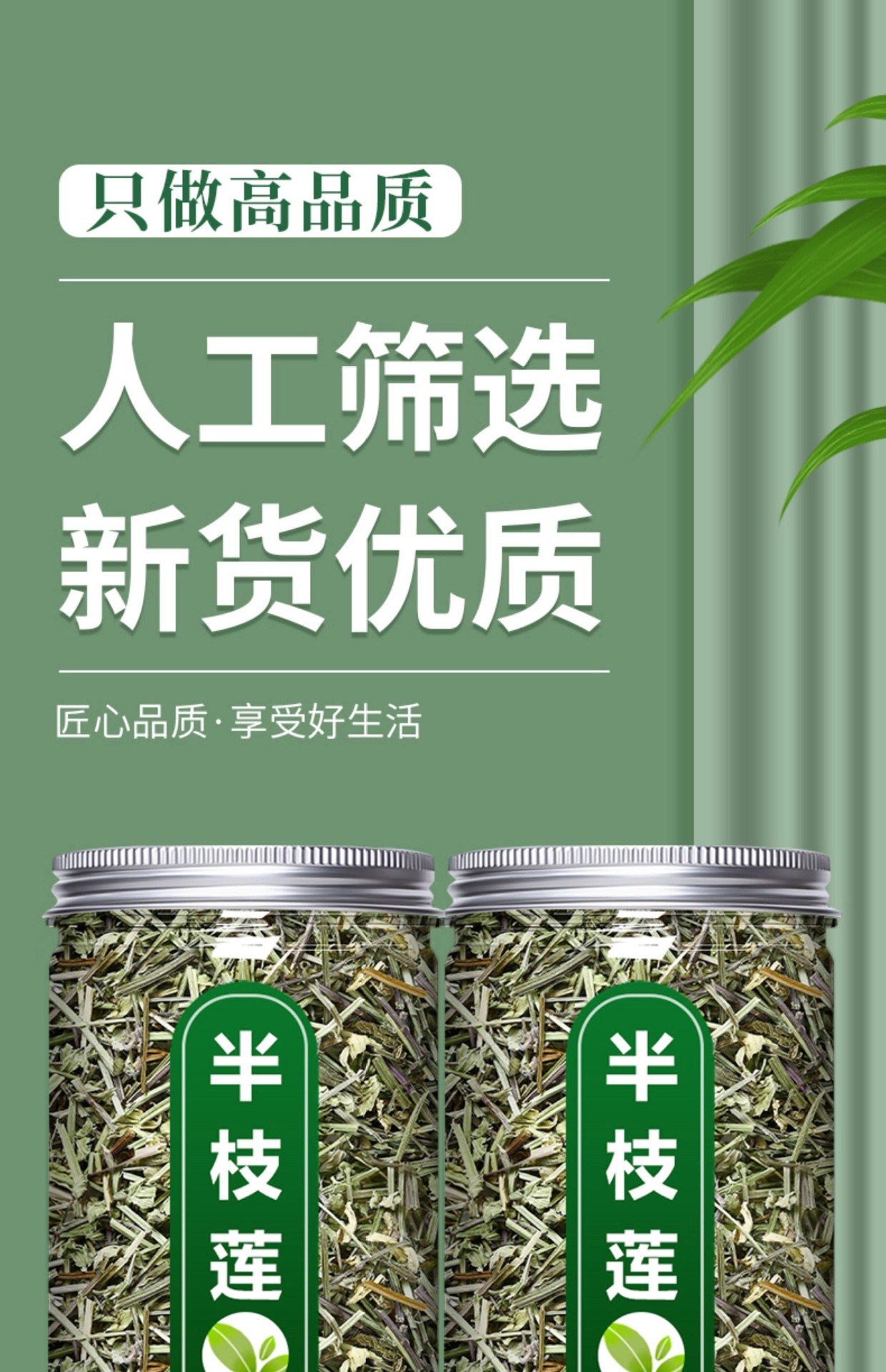 Ban Zhi Lian Dried Herb 250g Wild-Harvested Scutellaria barbata Whole Plant Traditional TCM Decoction Herb overview