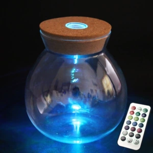 Moss Micro Landscape Пульт дистанционного управления красочная лента стеклянная бутылка Цвет освещения экологическая бутылка светодиодная бутылка для бутылки чай