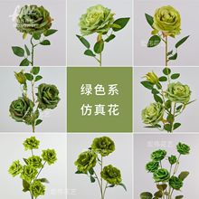 (�Gɫϵ)���滨��c��չ��Y�ò廨�ҾӔ[���bٻ����ՔzӰ����