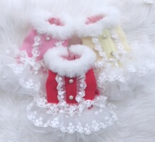 �ɿ�SWEETPETCO21036ë�����ȹ �����·�����