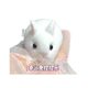 Explosive pinch music slow rebound decompression vent toy small toy pinch music rabbit pinch gift children's stall
