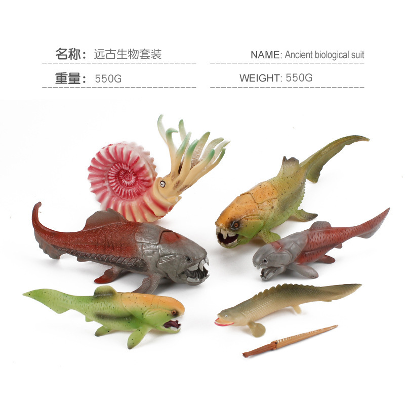 Simulación océano antiguo modelo biológico pescado de Deng loro tornillo crisantemo piedra decoración juguete transfronterizo Amazon