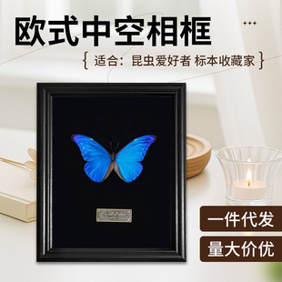 Three-Dimensional Butterfly Specimen Frame European Style Hollow Photo Frame DIY Specimen Display Frame Desktop Decoration Table Photo Frame
