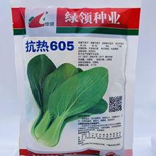 批发南京绿领火青菜种子一代杂交耐热耐湿抗病虫害青梗菜种子夏季