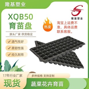 Ps Plug Tray Factory Wholesale Tomato Pepper Succulent Seedling Pot Vegetable Seedling Seedling Box Strawberry Seedling Tray