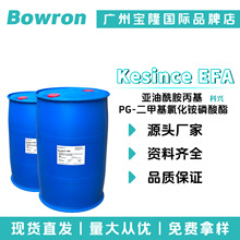 ���� Kesince EFA �黯�� ������������ PG-���׻��Ȼ��������