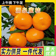 正宗涌泉蜜桔新鲜现摘时令橘子整箱包邮一件代发早熟蜜橘超甜柑桔