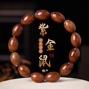 �Ͻ��������ִ�����������ؔ������ִ���ʿ�@ָ������������