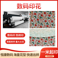 厂家现货卡通水果水刺无纺布儿童印花口罩布数码加工压花数码印花