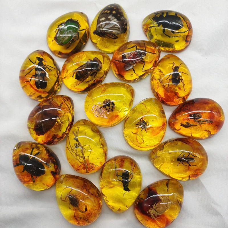 Amber sample, wholesale