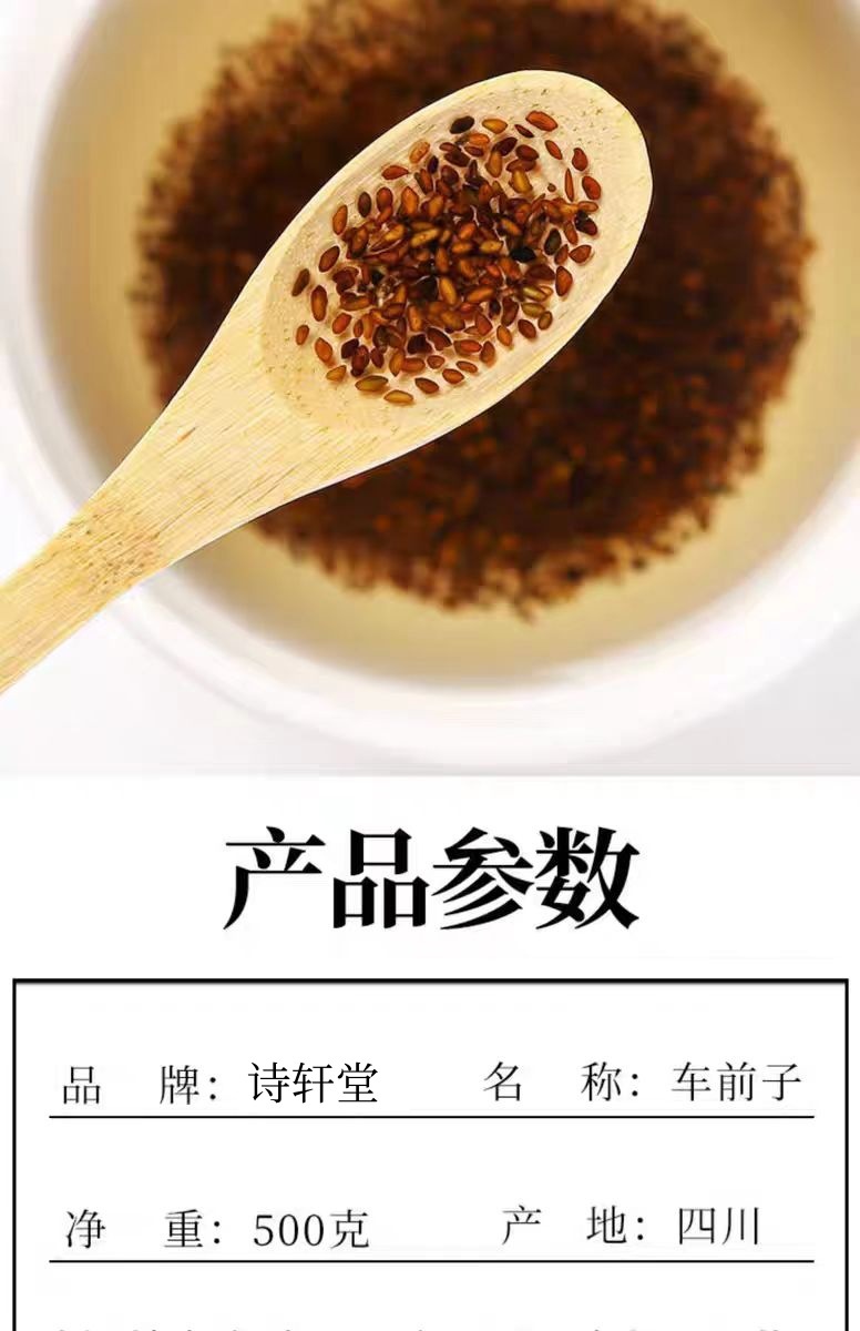 Plantain Seed (Plantago asiatica) — Dried Che Qian Zi Food Herb, 500g in use
