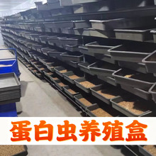 DSxxxtxxBֳBֳʳƷ䌣