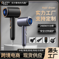 ブライトンヘアドライヤードライヤー家庭用ハイパワー理髪店マイナスイオン冷熱風電ブロー筒クロスボーダー卸売り