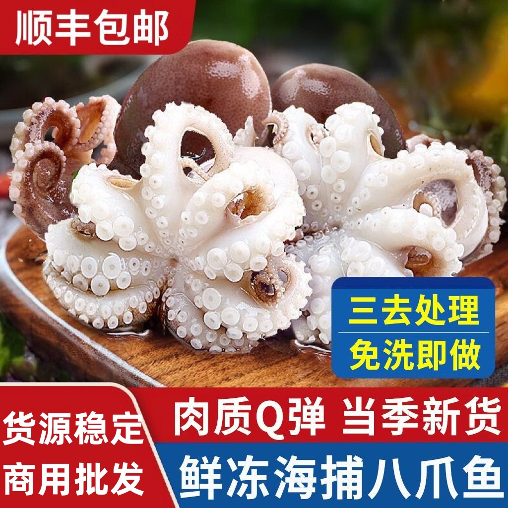 三去八爪鱼迷你小章鱼新鲜冷冻爆头八抓鱼捞汁海鲜日料寿司商用