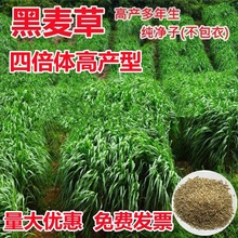 ݷNͺݷNޣļ߮auZţ~Ѹߵ