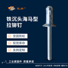 海马钉沉头碳钢高强度拉钉碳钢结构型抽芯铆钉全铁海马结构型拉钉