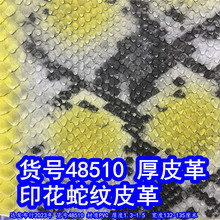 48510#غӡƤӡƤɫƤҰ