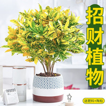 �S���f��������ֲؔ���҃ȾGֲ�����̨���B׃�~ľ�ļ������՚⻨