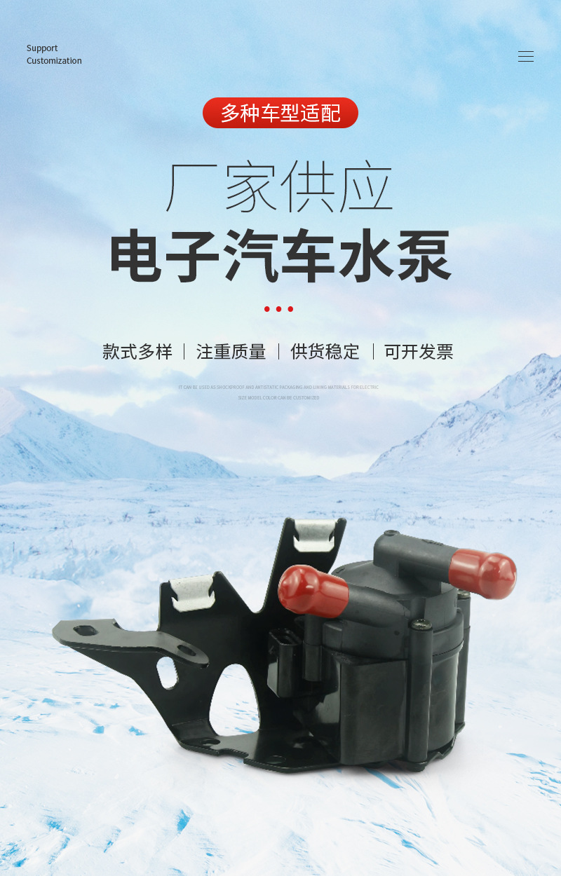 Electronic brushless auxiliary water pump additional water pump 9806790880 9806790780 11537630368
