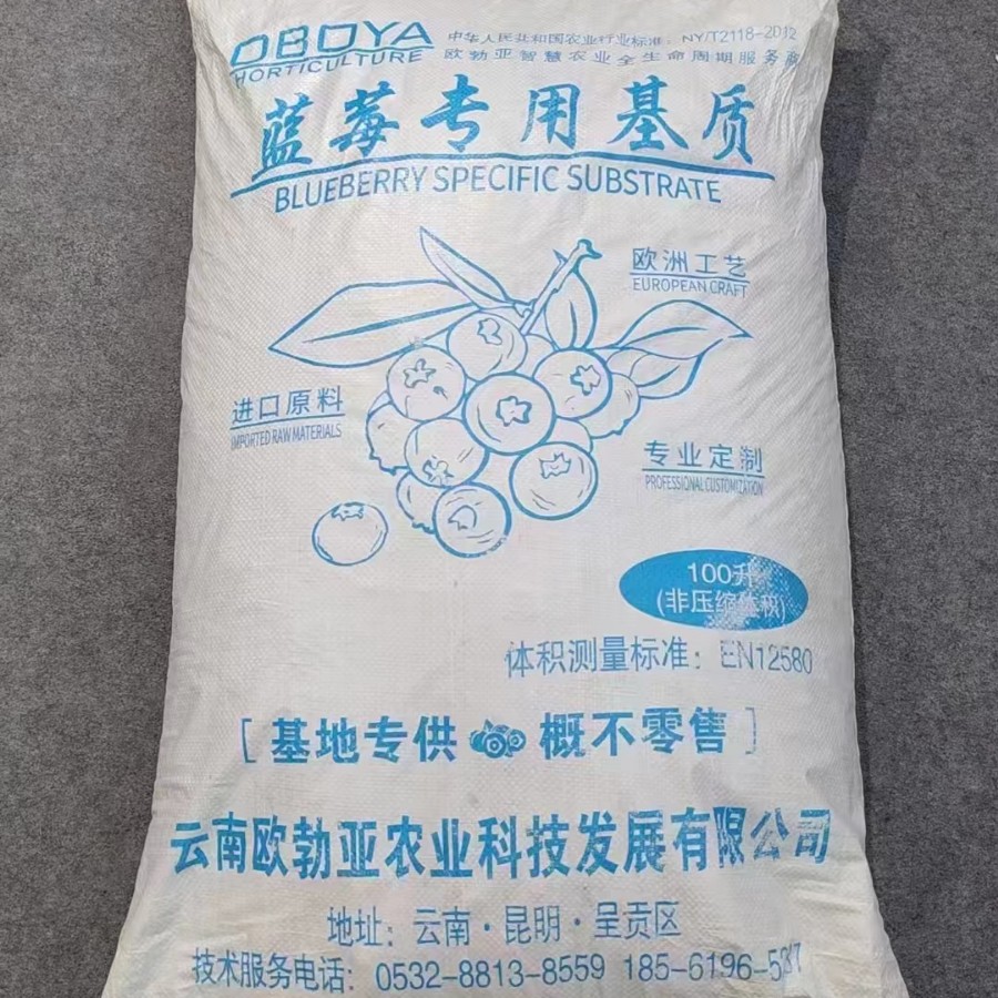 2024-09-26 13:32:25.jpg