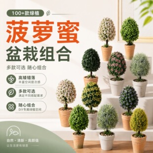 100+��Gֲ���}���ԽM�Ͽ羳���N�҃Ȕ[���E�A�η���ֲ���辰�S��