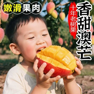 攀枝花凯特芒果10斤新鲜水果当季整箱四川忙果甜青皮大澳芒果包邮