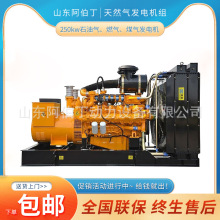 250kw��Ȼ��l늙C�Mʯ�͚�ȼ��ú��l늙CCHP�������늟��a