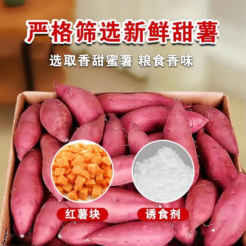 红薯饵料通用鲤鱼鲫鱼草鱼罗非鳊鱼等钓鱼优质钓鱼饵料|undefined