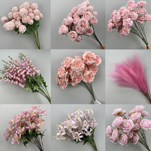 ɫϵ滨cõĵbĻY̨ò廨~