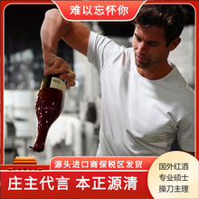 智利原瓶原装进口 单品种佳美娜红酒 大瓶型 750g 干红葡萄酒批发