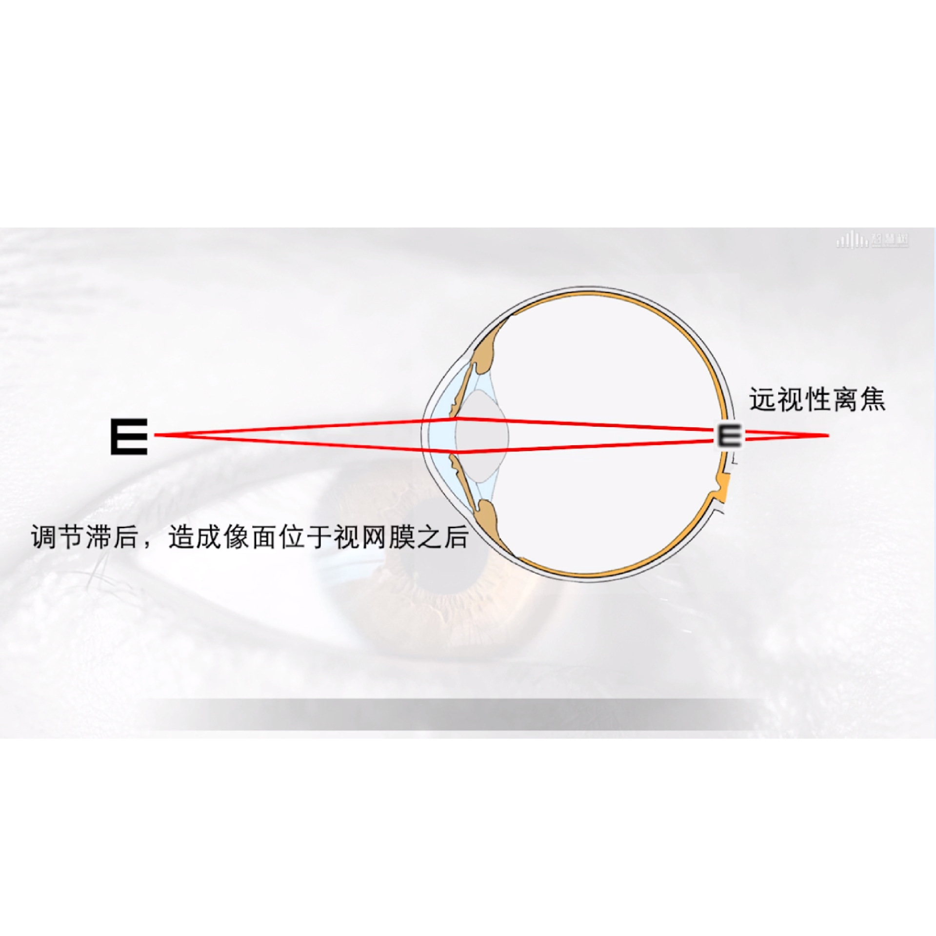 ���Ӽ�����ص��о���չ  �γ�����