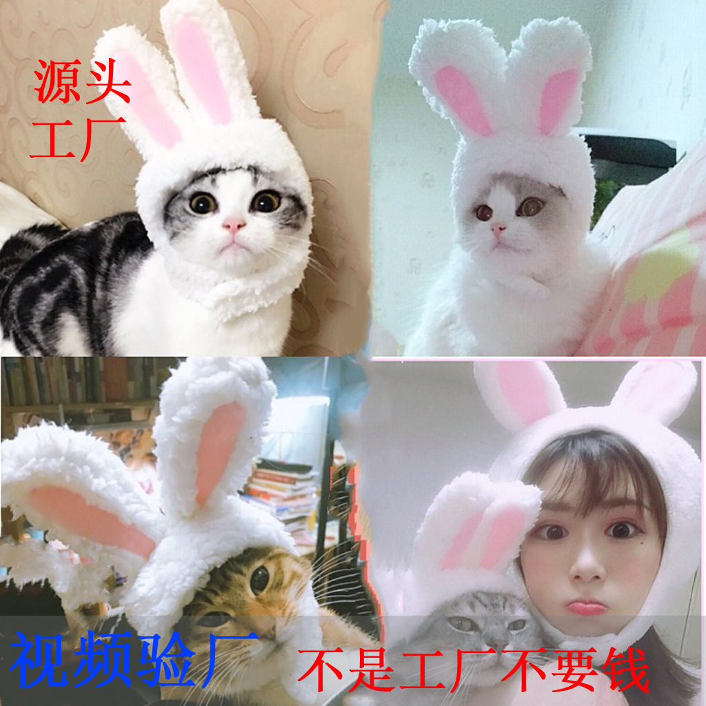Cross-border gato sombrero lindo conejo crossdressing tapa gato tocado rendimiento accesorios divertido mascota sombrero Orejas de conejo