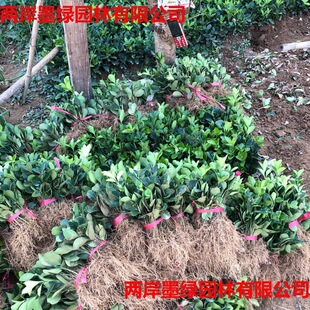 �������l���~�S��С�綬��С���߅�S������S�����ͥԺ�G�h