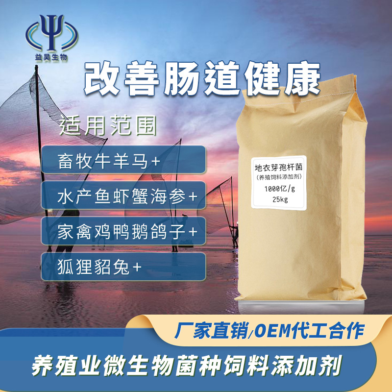 地衣芽孢杆菌水产养殖益生菌复合芽孢杆菌鱼塘虾蟹微生物菌剂菌种
