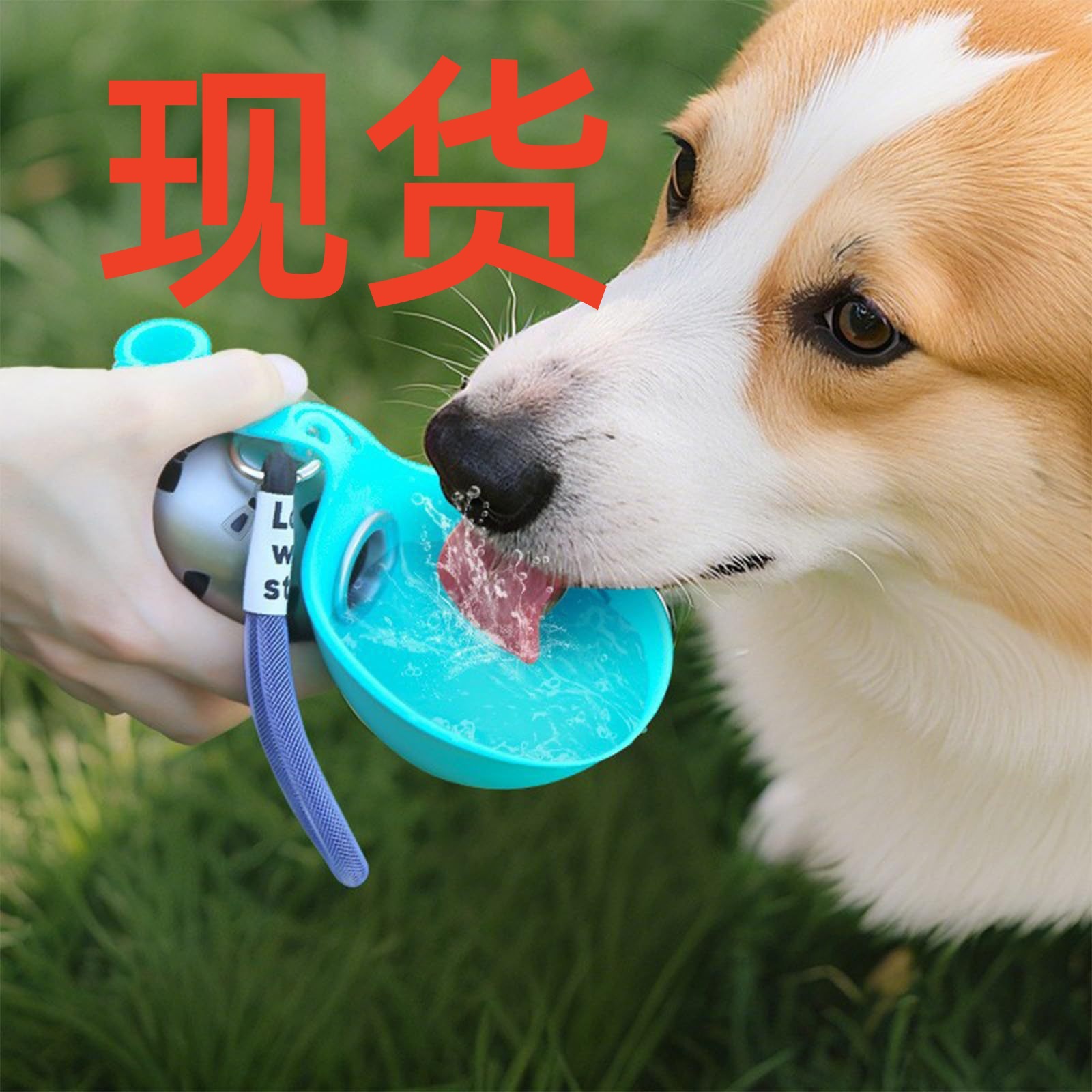 Nuevos productos transfronterizos para mascotas de acero inoxidable hervidor de agua redondo taza de agua al aire libre gato y perro plegable bebida portátil