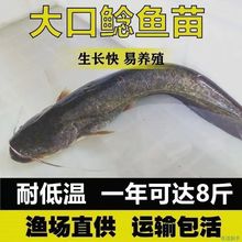 �Ϸ�����T�~�絭ˮ�Bֳ���T���T�~������T��ʳ���X�T�~��ʳ��