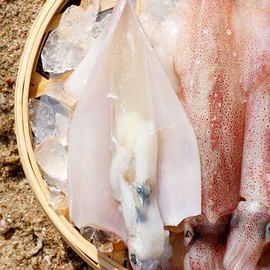 其他水产加工;水产干货类;鱼类